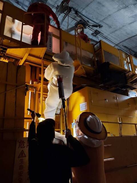 桃園捕蜂捉蛇2026年起委外　1999專線全天候受理