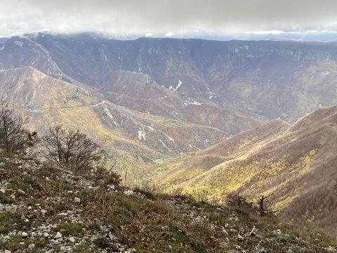 義大利高溫洪水事件頻仍 376件極端天氣近年次高