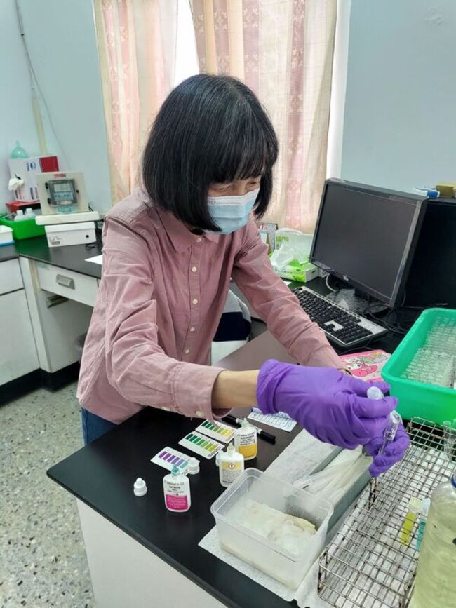 高雄公布動物疾病檢驗統計　禽流感「全陰性」 | 華視新聞