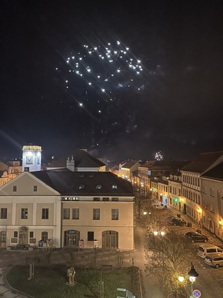 捷克跨年嚴管煙火保護動物環境  增禁放與銷售限制