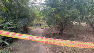 花蓮28歲女陳屍玉里鎮公墓　報案男友涉重嫌遭移送