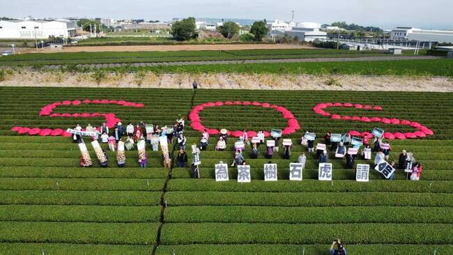 南投名間擬蓋垃圾焚化爐　居民為石虎、茶園請命 | 華視新聞