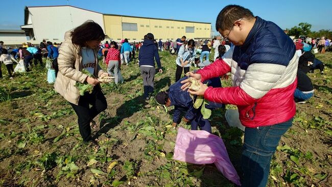 2026年元旦嘉縣太保千人拔蘿蔔　搏好彩頭 | 華視新聞