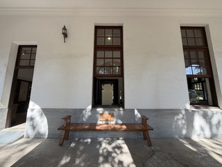 台南水道博物館百年羅漢松　轉化再生長凳延續記憶