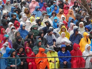 玫瑰花車20年首見雨中遊行　海外華人舉國旗挺台灣