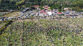 彰化芬園免費拔蘿蔔　5千人20分鐘拔光5萬根