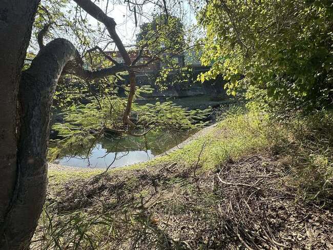 屏東佳冬推動湧泉生態園區　先期評估8日說明會 | 華視新聞