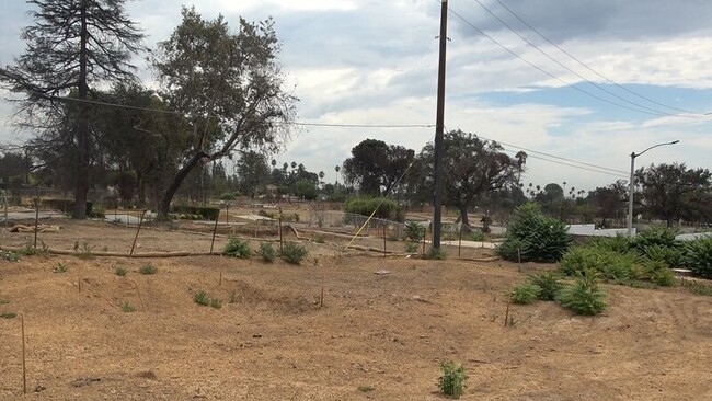 洛杉磯野火週年　重建進度落後不到12戶完工 | 華視新聞