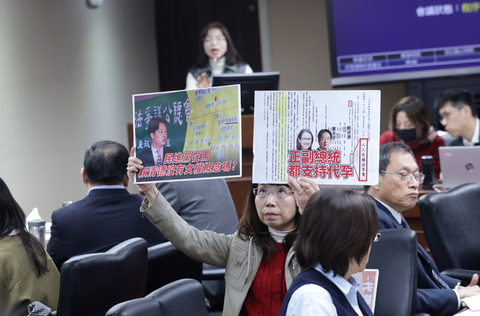 人工生殖法初審 朝野爭論代理孕母綠籲脫鉤處理