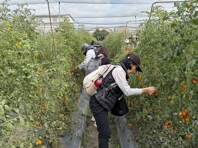 擴展農業人力來源　高市府邀銀髮人才走入農場 | 華視新聞