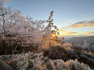 冷氣團發威　宜蘭太平山清晨呈現霧淞日出美景