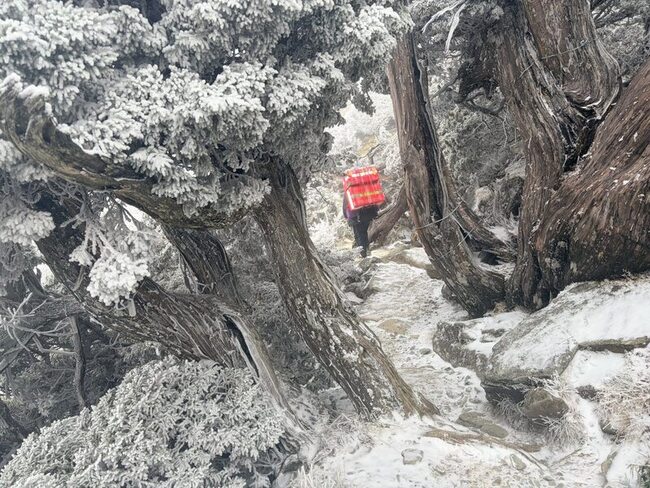 南橫大關山隧道飄雪霰　嘉明湖步道銀白覆蓋 | 華視新聞