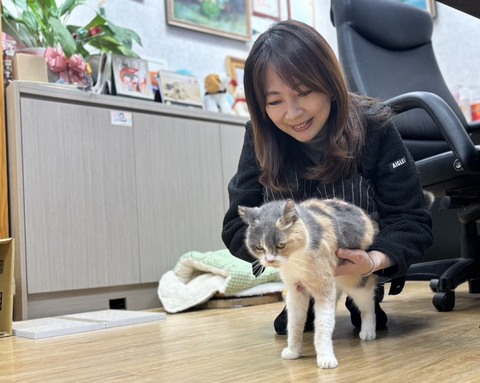 認養喵星人坐鎮辦公室　郭昱晴週末返立院加班鏟屎