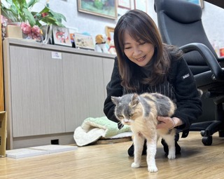 認養喵星人坐鎮辦公室　郭昱晴週末返立院加班鏟屎