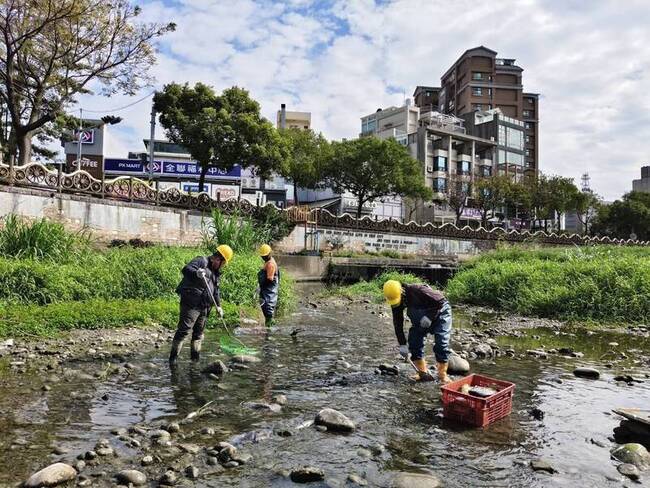 新竹豆子埔溪出現死魚　研判枯水期低溫影響 | 華視新聞