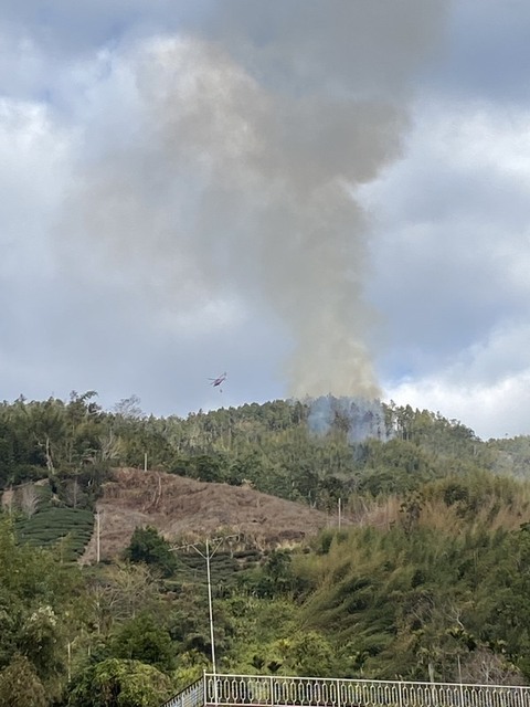 雲林草嶺森林火警延燒26小時　5公頃林地焚毀