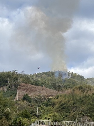 雲林草嶺森林火警延燒26小時　5公頃林地焚毀