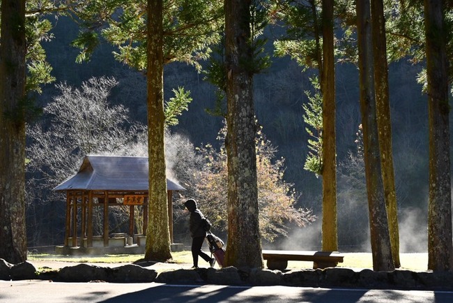 武陵農場零下低溫結霜　陽光照射白霧飄升宛如仙境 | 華視新聞