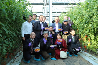 深化農業交流　日本山口縣考察團參訪嘉縣番茄園