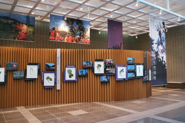 科博館特展　呈現鄒族與萬物的連結 | 華視新聞