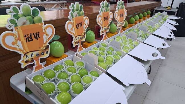 高雄大社蜜棗進入產季　品質評鑑登場為上市暖身 | 華視新聞