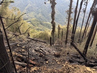 雲林草嶺森林火勢撲滅　縣府現勘盤點提升救災量能