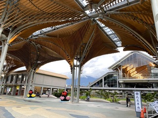 花蓮春節返鄉專車4列次  21日中午開放網路訂票