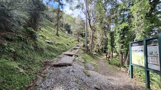 玉山東部園區瓦拉米步道尋寶 沉浸人文歷史田園風光
