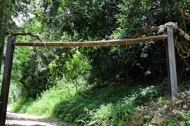 台南南山林道修復　增動物通道與鴨腱藤保護設施 | 華視新聞