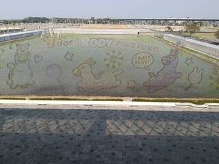 屏東熱博2/7登場　聯名「跳跳馬RODY」設彩稻田