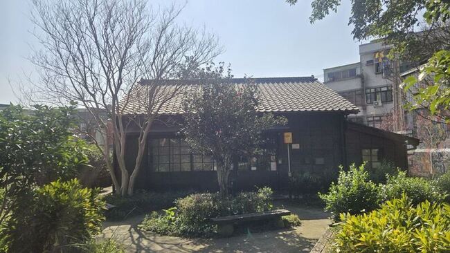 新埔鎮山茶花老樹列受保護樹木　新竹縣茶花首例 | 華視新聞