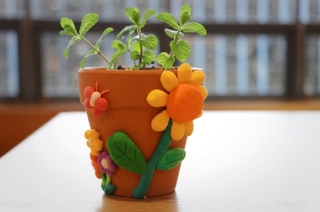 十三行博物館每週日提前開館 推星兒友善療癒服務