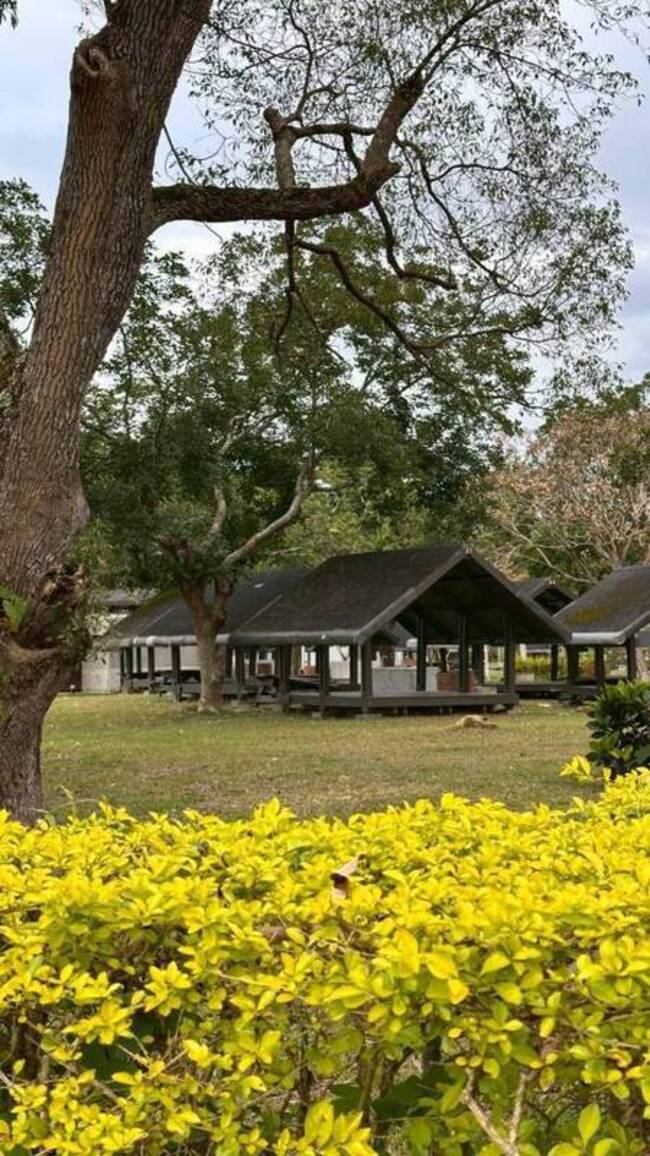 因颱風受損封閉2年　花蓮瑞穗露營區整修後將開放 | 華視新聞