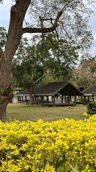 因颱風受損封閉2年　花蓮瑞穗露營區整修後將開放