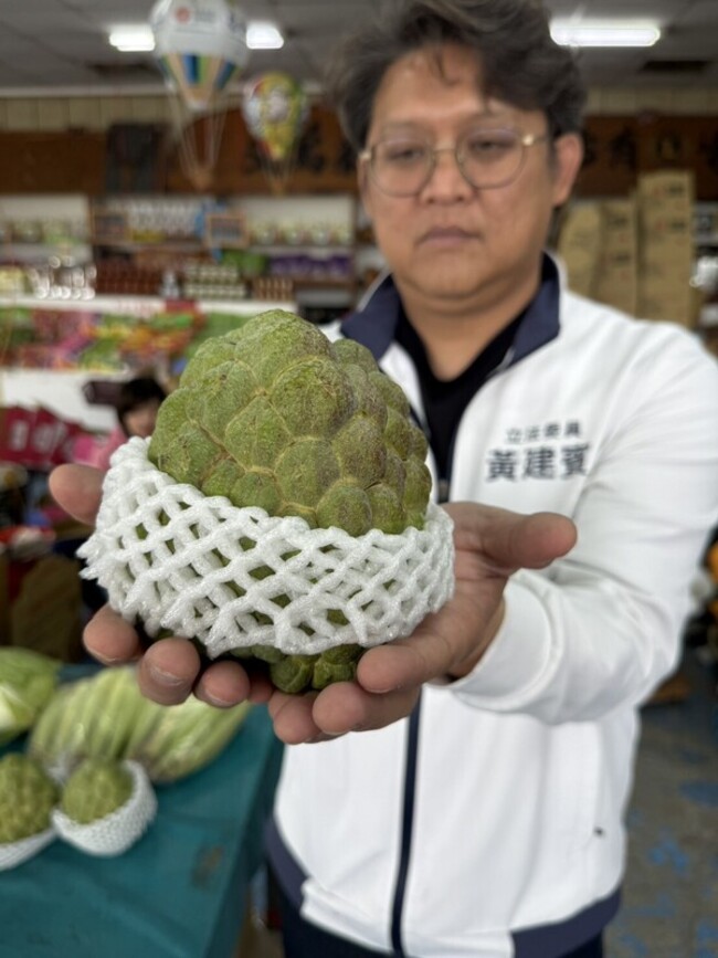 台東鳳梨釋迦拓展外銷市場　黃建賓爭取補助 | 華視新聞