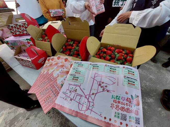 嘉縣太保「草莓採摘地圖」 串聯7家農場拚經濟 | 華視新聞