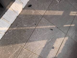 台中住宅陽台玻璃汽車遭鋼珠毀損 警鎖定犯嫌偵辦