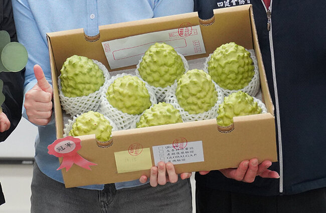 台東鳳梨釋迦外銷萎縮 莊瑞雄陳瑩籲速啟動產銷調節 | 華視新聞