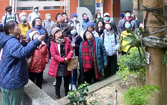 新北防範校園樹木倒伏風險　培力褐根病專業防治 | 華視新聞