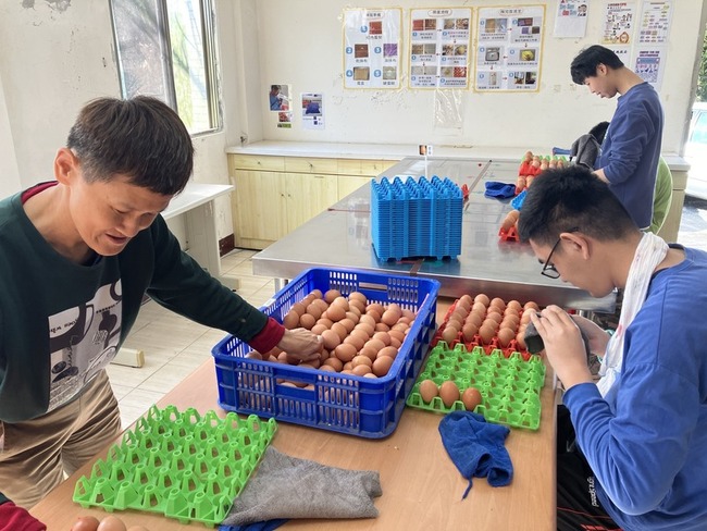 花蓮庇護工場雞蛋滯銷恐達上萬顆　推單曲加強宣傳 | 華視新聞