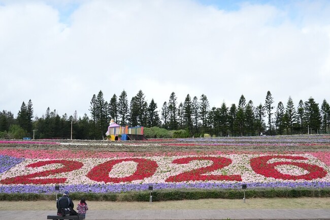 澎湖冬日花海遊樂園開幕　親子共賞繽紛花世界 | 華視新聞