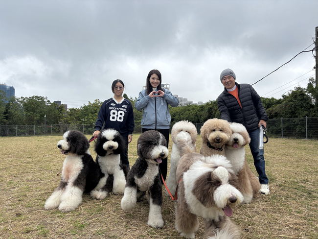 竹市啟用樹林頭狗狗公園　打造動物共融城市 | 華視新聞