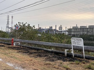 高雄男抓綠鬣蜥誤觸電線 身體燒傷送醫