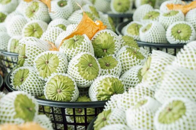 深耕星國市場3年　台東鳳梨釋迦銷售破1.6萬公斤 | 華視新聞