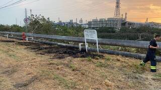 高雄男捕綠鬣蜥誤觸釀停電　台電：保留法律追訴權