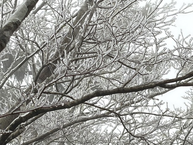 宜蘭太平山現冰霰、霧淞　遊客首見直呼超興奮 | 華視新聞