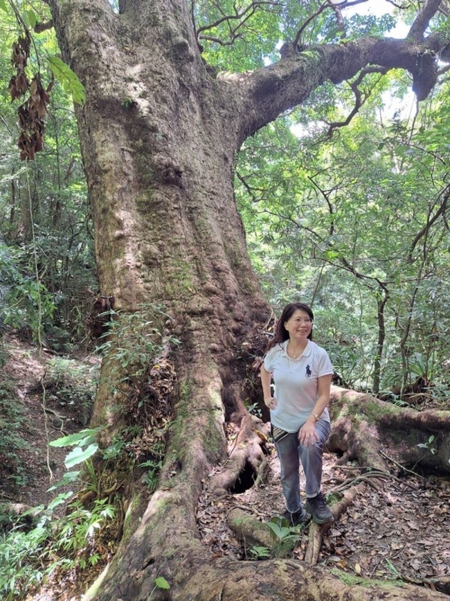 風雨操場與校樹要兩全　需專家統籌確保綠覆率 | 華視新聞