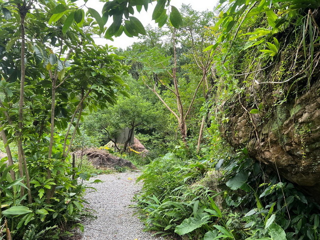 淡蘭古道慢旅　走進平溪紫東體驗生態秘境 | 華視新聞