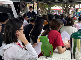 桃園動保處辦特殊寵物認養　加強飼主教育