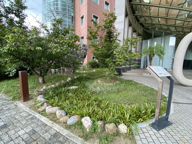 雨水花園助改善積水　打造具生態景觀綠色空間 | 華視新聞